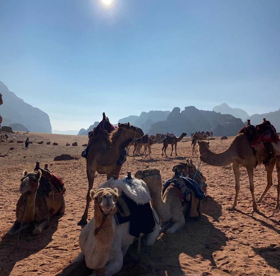 Wadi Rum Desert Camp Екстер'єр фото