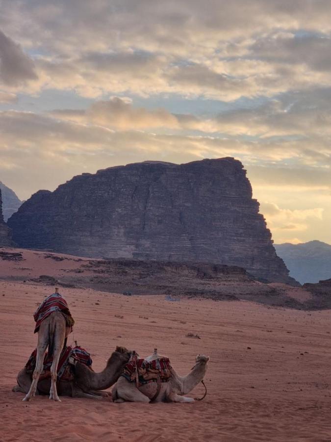 Wadi Rum Desert Camp Екстер'єр фото